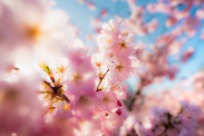 1740605160840.png